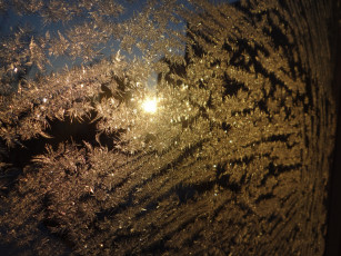 Картинка природа макро стекло зима иней