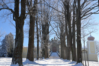 Картинка города -+улицы +площади +набережные деревья зима снег иней дорога здание