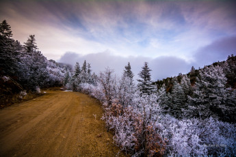 Картинка природа дороги пейзаж иней деревья дорога