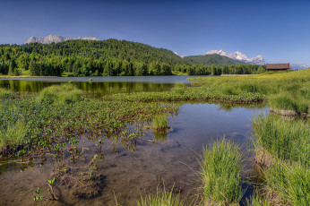 Картинка природа реки озера горы лес река