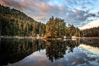 Картинка природа реки озера лес река