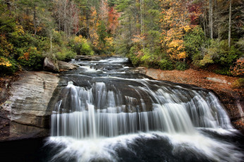 Картинка природа водопады лес река водопад
