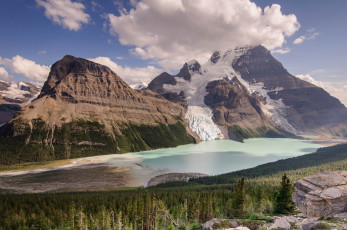 Картинка природа реки озера озеро лес канада berg lake гора mount robson