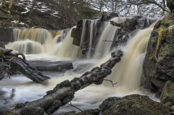 Картинка природа водопады река лес водопад