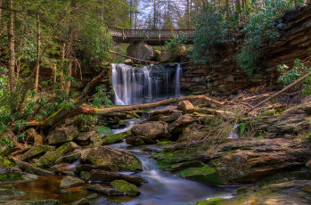 Картинка природа водопады водопад река лес