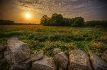 Картинка природа восходы закаты лес поле трава облака солнце