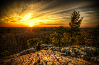 Картинка природа восходы закаты плато лес облака солнце