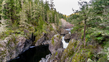 Картинка природа реки озера лес река