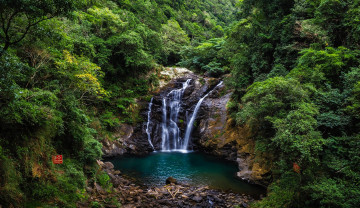 Картинка природа водопады лес река водопад