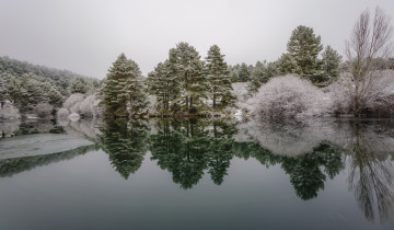 Картинка природа реки озера лес река