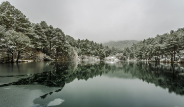 Картинка природа реки озера лес река