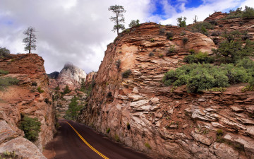 Картинка природа дороги горы zion national park