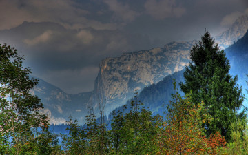 Картинка природа горы австрия salzburg леса деревья ветки листья