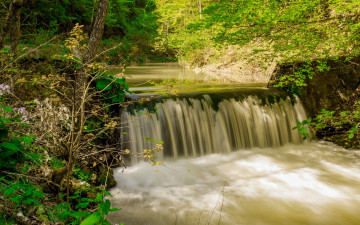Картинка природа водопады лес река водопад