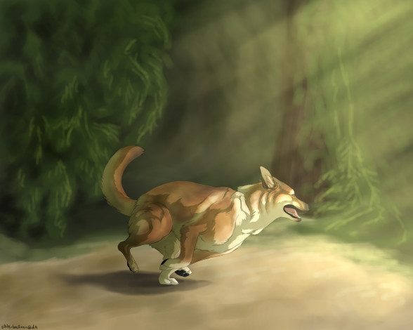 Обои картинки фото рисованное, животные,  собаки, бег, собака