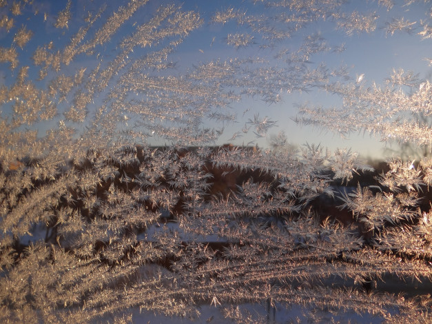 Обои картинки фото природа, макро, стекло, зима, иней