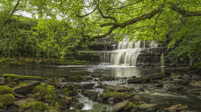 Обои картинки фото природа, водопады, лес, река, водопад