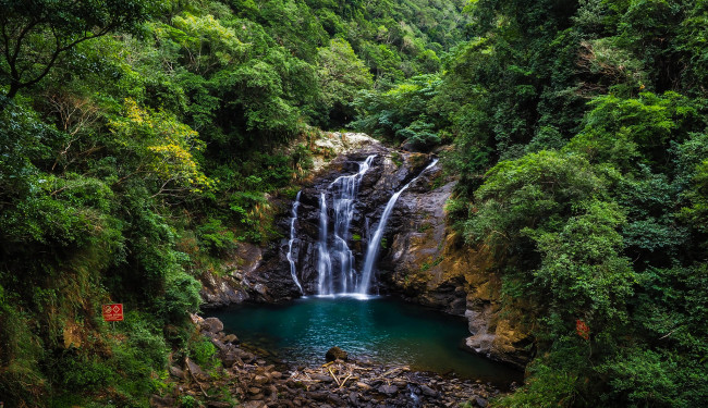 Обои картинки фото природа, водопады, лес, река, водопад