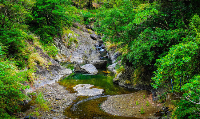 Обои картинки фото природа, реки, озера, лес, ручей