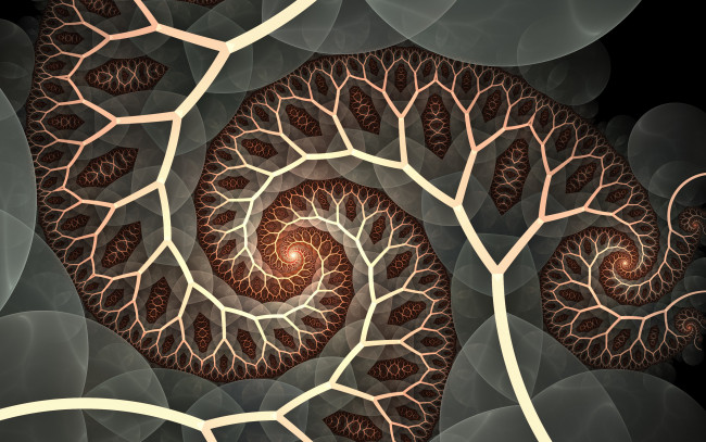 Обои картинки фото 3д графика, фракталы , fractal, узор, фон, цвета