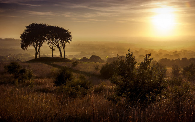 Обои картинки фото природа, восходы, закаты, houghton-le-spring, закат, copt, hill