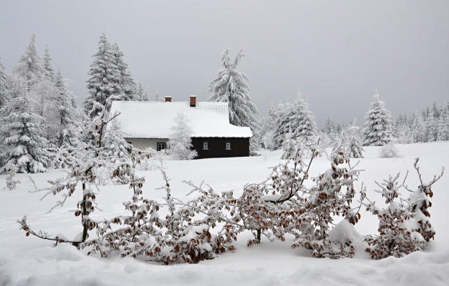 Обои картинки фото природа, зима, лес, деревья, снег, иней, дом