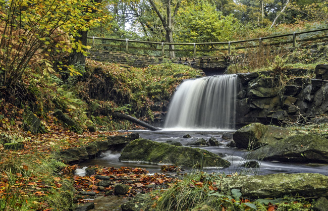 Обои картинки фото природа, водопады, водопад, река, лес