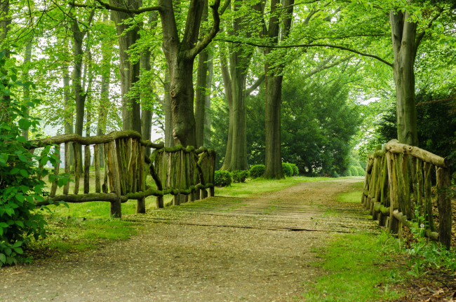 Обои картинки фото природа, парк, деревья, аллея, дорожка