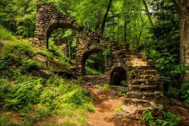 Обои картинки фото природа, лес, склон, тропинка, ступени