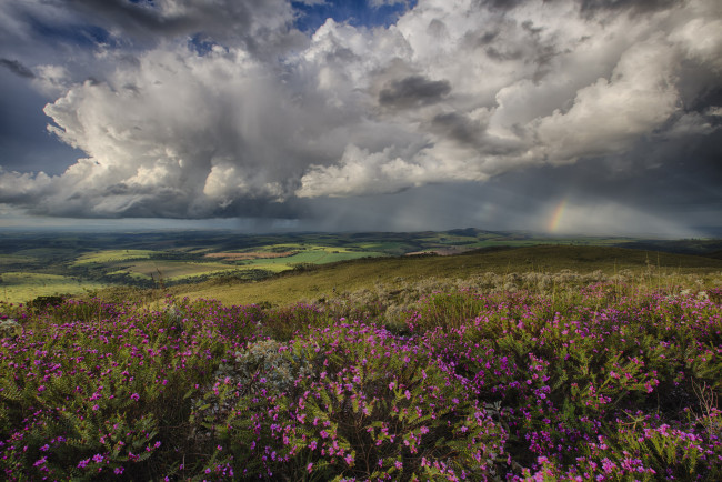 Обои картинки фото природа, пейзажи, равнина, горизонт, облака, простор