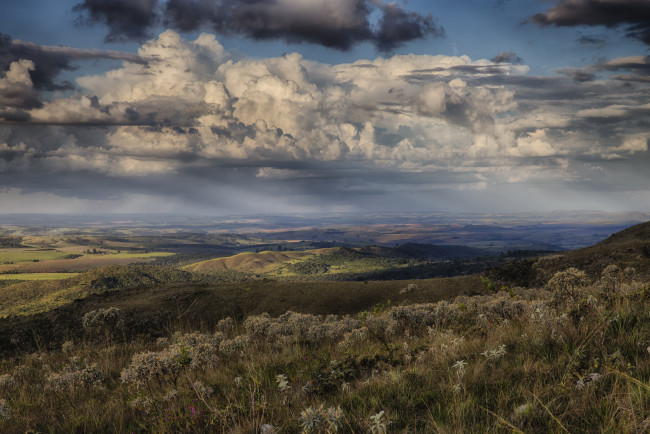 Обои картинки фото природа, пейзажи, равнина, горизонт, облака, простор