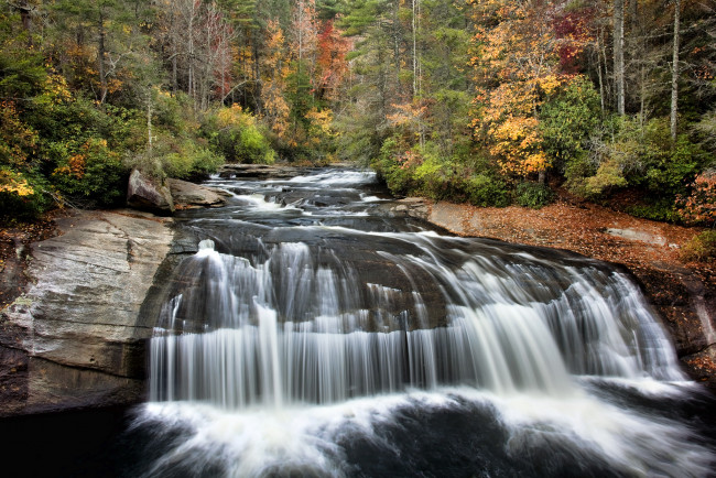 Обои картинки фото природа, водопады, лес, река, водопад