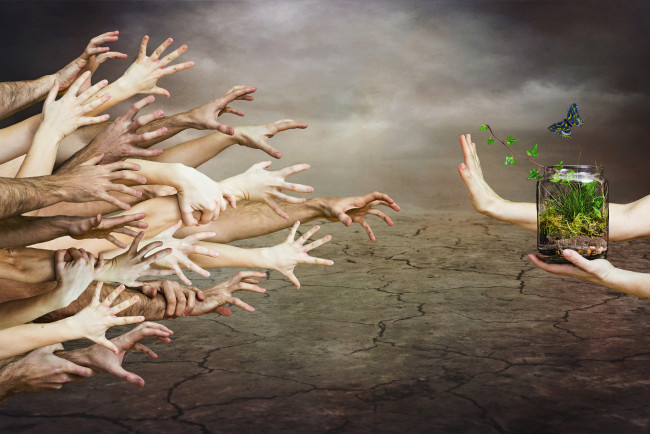 Обои картинки фото разное, руки, природа, банка