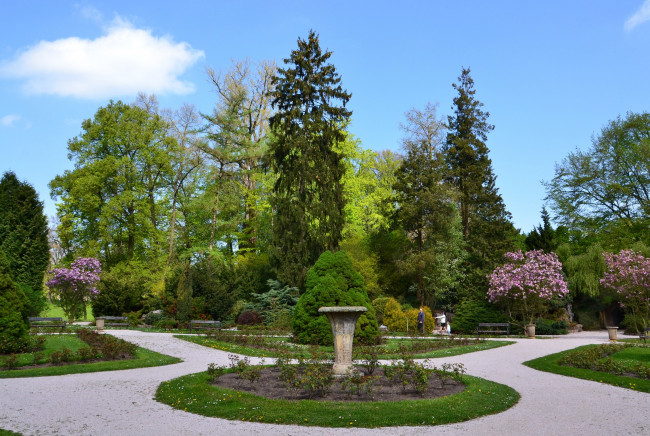 Обои картинки фото природа, парк, дорожки, деревья