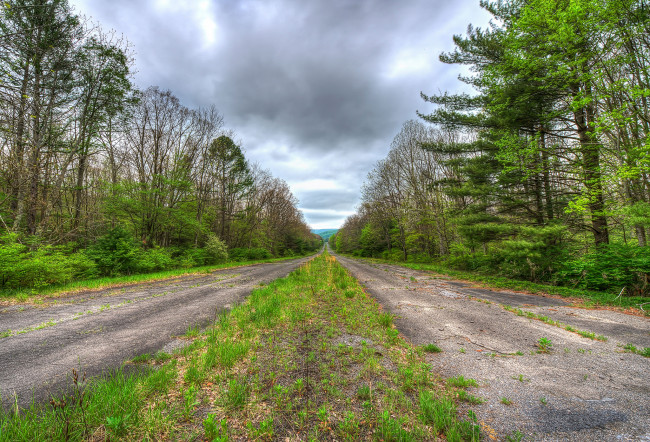 Обои картинки фото природа, дороги, тракт, лес