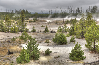 Картинка природа пейзажи плато деревца