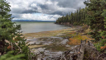 Картинка природа реки озера лес река