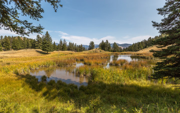 Картинка природа реки озера лес река