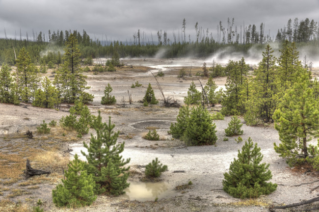 Обои картинки фото природа, пейзажи, плато, деревца