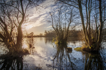 Картинка природа реки озера лес река