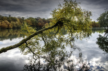 Картинка природа реки озера лес река