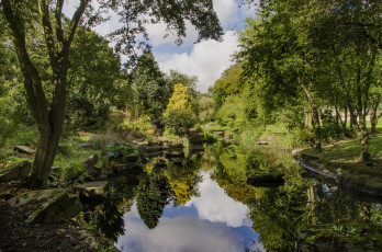 Картинка природа реки озера река лес