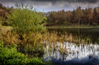 Картинка природа реки озера река лес