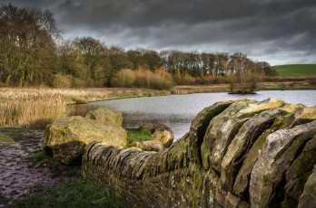 Картинка природа реки озера река лес