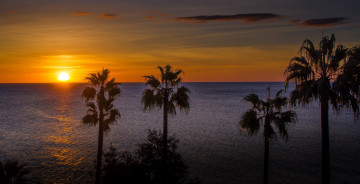 Картинка природа тропики рассвет