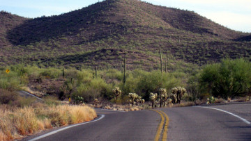 Картинка природа дороги поворот шоссе