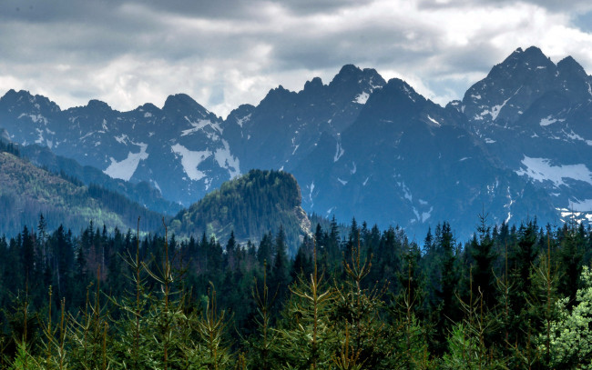 Обои картинки фото природа, горы, вершины, лес