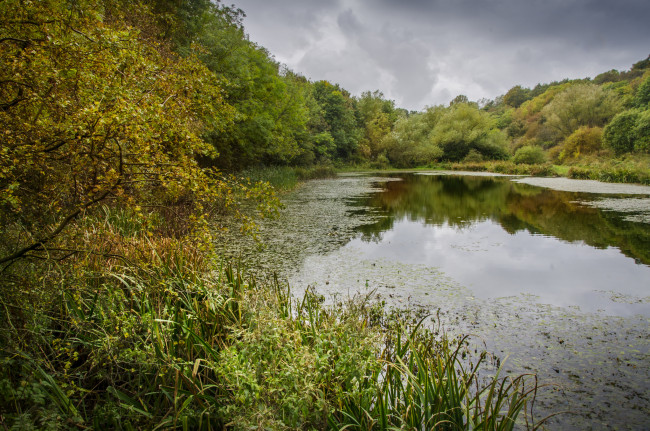 Обои картинки фото природа, реки, озера, лес, река