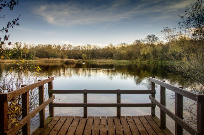 Обои картинки фото природа, реки, озера, река, лес