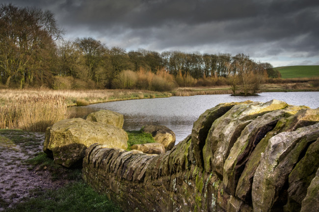 Обои картинки фото природа, реки, озера, река, лес